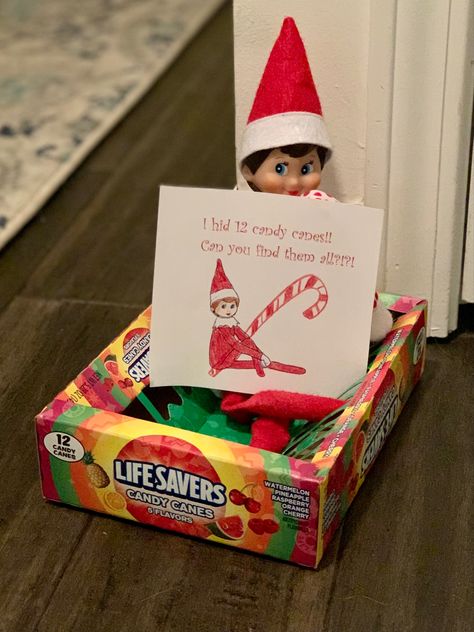 Elf on the shelf candy cane hunt Elf Hidden Candy Canes, Elf On The Shelf Candy Cane, Elf On The Shelf With Candy Canes, Elf On The Shelf Ideas Candy Canes, Elf On The Shelf Candy Cane Ideas, Elf On The Shelf Candy, Candy Cane Hunt, Elf Candy Cane, Elf 2023