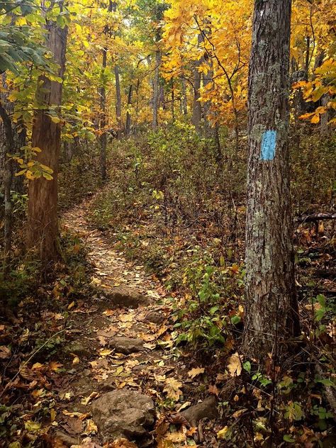 The Appalachian Trail at Humpback Rock, Virginia Appalachian Aesthetic, Restless Soul, The Appalachian Trail, Rocky Top, On The Bright Side, Fall Feels, Appalachian Trail, Fall Halloween, Dahlia