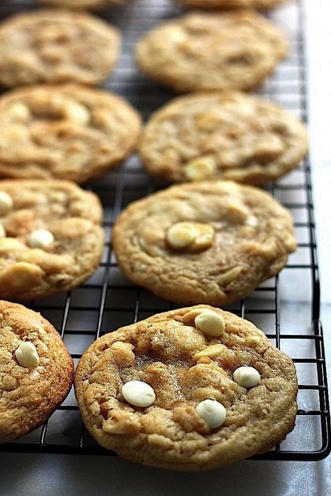 Chewiest Cookies, Chocolate Walnut Cookies, Walnut Cookie Recipes, Chocolate Chip Walnut Cookies, Baker By Nature, White Chocolate Recipes, Easy Chocolate Desserts, White Chocolate Chip, White Chocolate Chip Cookies