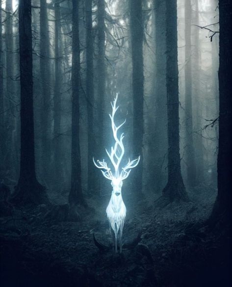 Deer Illustration Art, Deer Harry Potter, Harry Potter Animals, Patronus Art, Eerie Forest, Wizard Harry Potter, Stag Patronus, Nature Mural, Deer Wallpaper