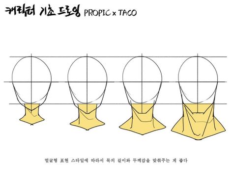 Neck sizes vary based on the age, gender and build of your character. Taco Anatomy Head, Taco 1704 Head, Propic Taco, Taco Drawing, Concept Drawing, Taco Taco, Drawing Heads, Anime Tutorial, Výtvarné Reference