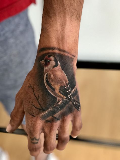 Robin Hand Tattoo, Hand Tattoo Animals, Mens Bird Tattoo, Goldfinch Tattoo, Canary Tattoo, Realistic Bird Tattoo, Brazilian Tattoo, Bird Hand Tattoo, Bird Tattoo Sleeves