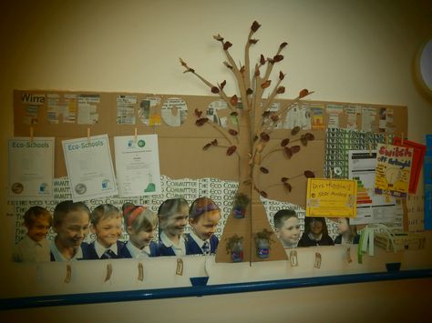 Our Eco council diplay board complete with living herbs! Eco Schools Display, Eco School Display, School Council Display, School Council Ideas, Eco School, School Council, Eco Club, Display Boards For School, Science Display