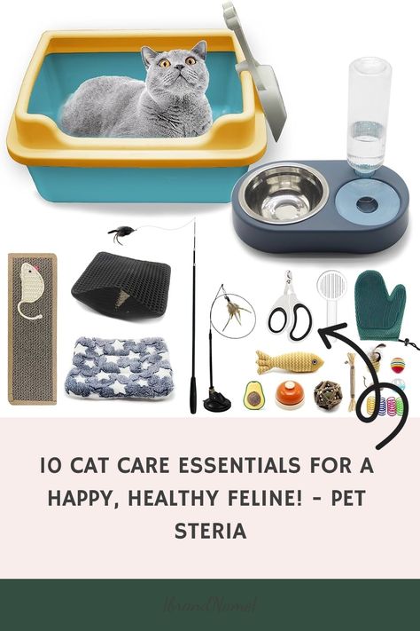 Cat care essentials include a cozy cat bed and a grooming brush for comfort and hygiene. A water fountain encourages hydration, an automatic food feeder ensures regular meals, a cat carrier bag facilitates travel, smart toys stimulate play, nail clippers maintain paw health, a litter box provides a private bathroom, an Cat Hygiene, Cat Carrier Bag, Cozy Cat, Smart Toys, Cat Carrier, Happy Healthy, Carrier Bag, Cat Care, Litter Box