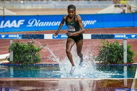 July 21 2018 - Beatrice Chepkoech takes more than eight seconds off the women’s 3000m steeplechase world record with a sensational run at the Monaco ‬IAAF Diamond League 3000m, World Record, World Records, Public Relations, Monaco, Running, Photographer, Sports