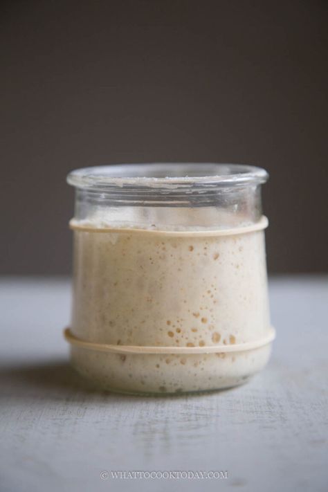 Whole Wheat Sourdough, Yeast Starter, Sourdough Bread Starter, Dough Starter, Starter Recipe, Sourdough Starter Recipe, Sourdough Baking, Sourdough Bread Recipe, Starters Recipes