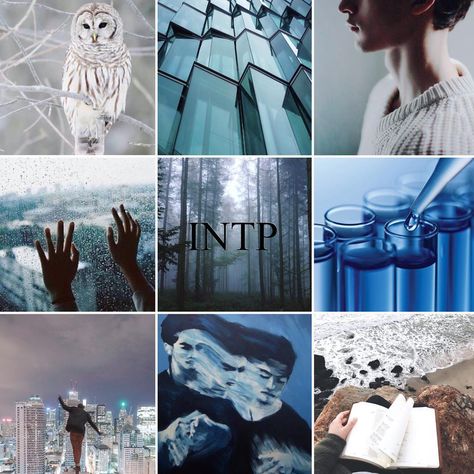 Intp Mood Board Aesthetic, Intp Mood Board, Intp Mood, Intp Aesthetics, Intp Personality Type, Intp T, Career Motivation, Mbti Types, Life Vibes