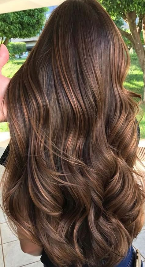 Hot Chocolate Hair Color Highlights, Hair Colour Pictures, Ash Brown And Caramel Balayage, Dark Brunette Balayage Hair Caramel Honey, Long Hair Colour Ideas Color Trends, One Shade Hair Color, Honey Ombre Hair Brunettes, Long Coloured Hair, Haircolour Ideas Color Trends