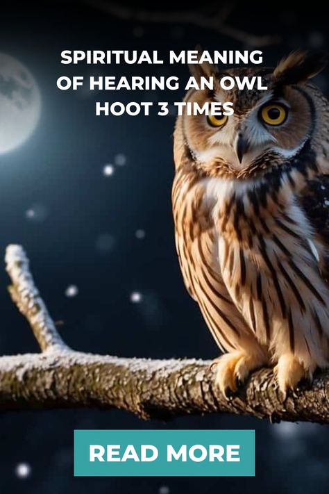 Owl perched on a branch at night with moon in background, related to article discussing the spiritual meaning of an owl hooting three times. Hearing An Owl Meaning Spiritual, Spiritual Meaning Of Hearing Owls, 222 Meaning, Mystical Experience, Angel Number 222, Symbolic Meanings, Red Meaning, Trust Your Instincts, Hoot Owl