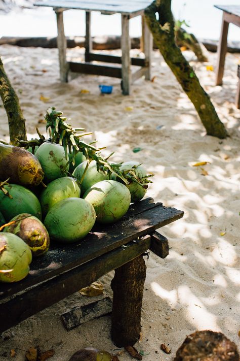 Palm Fruit, Africa People, Workout Shakes, Coconut Bowl, Grated Coconut, Banana Healthy, Raw Vegan Recipes, Coconut Tree, Green Life