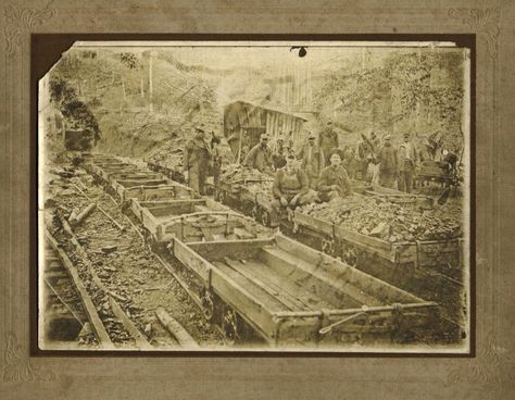 Walker County Coalminers and their Mules Walker County, Garden Railway, Sweet Home Alabama, Coal Mining, Country Girl, Country Girls, Birmingham, Alabama, North Carolina