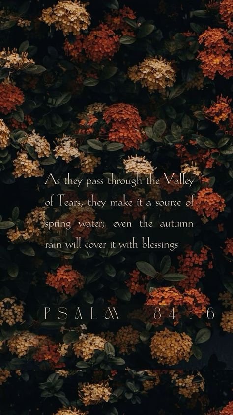 Fall Backgrounds Iphone Bible Verse, Fall Scripture Wallpaper Iphone, Lds Temple Wallpaper Fall, Brown Scripture Aesthetic, Fall Bible Verses Wallpaper Aesthetic, Fall Christian Wallpaper Iphone, Autumn Bible Verse Wallpaper, November Bible Verses, Halloween Bible Verses