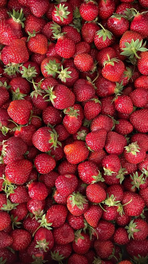 Strawberry 🍓🍓🍓cake strawberry lemonade, summer fruits 🍉  🍒🍑🍇🍓🥭🫐🍍🍋🍊🍐🍎🍏🍌🍈🥥🥝 Strawberry Background, Life Essentials, High Quality Picture, Interesting Food, Interesting Food Recipes, Strawberry Shortcake, Cute Food, Food For Thought, Strawberries