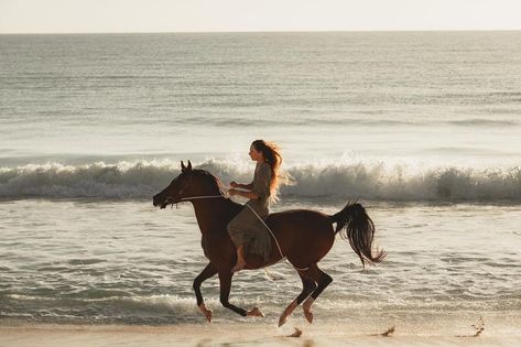 every horse girls dream is to gallop their horse on a beach. . . . #hawaiiequinephotographer #hawaiiequine #horsesinhawaii… | Instagram Oahu Photographers, Horse Galloping, Equine Photographer, Hawaii Photographer, Equine Photography, Horse Girl, Girls Dream, Poets, Hawaii