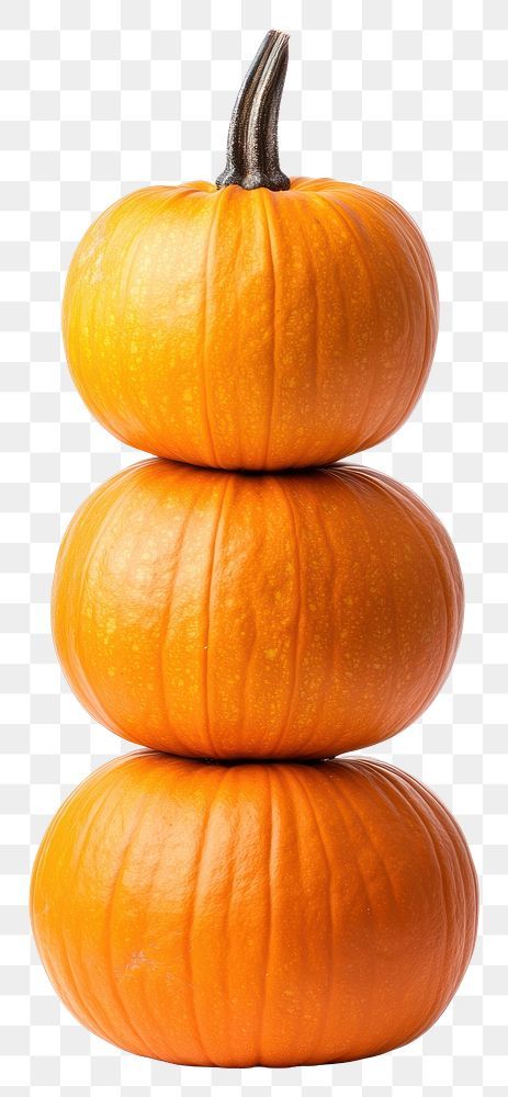 Aesthetic Pngs, Pumpkin Stack, 3 Pumpkins, Png Elements, Png Aesthetic, Stacked Pumpkins, Pumpkin Png, Awesome Designs, Background White