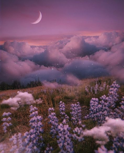 Night Sky Wallpaper, Aesthetic Space, Magic Aesthetic, Magical Art, Edgy Wallpaper, Beautiful Moon, Aesthetic Photography Nature, Landscape Drawings, Fantasy Aesthetic