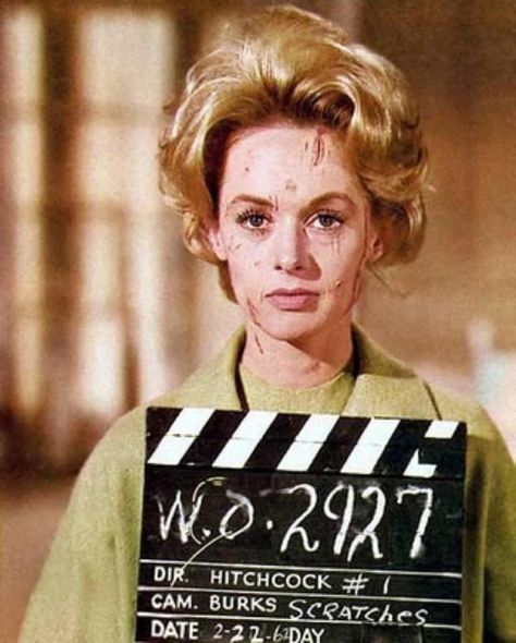 Tippi Hedren in The Birds. 1962 Alfred Hitchcock The Birds, Jessica Tandy, Tippi Hedren, Alfred Hitchcock Movies, Hitchcock Film, Septième Art, For The Birds, Swinging Sixties, Ingrid Bergman