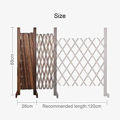 Garden Fence Gate, Retractable Fence, Vampire Birthday, Expanding Trellis, Door Trellis, Trellis Gate, Retractable Gate, Garden Screen, Screen Plants