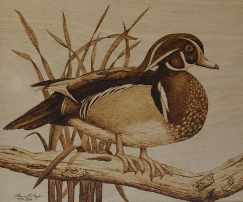 Wood Burning Art Sculpture En Bois, Wood Burning Stencils, Duck Drawing, Wood Burn Designs, Pyrography Patterns, Woodburning Projects, Wood Art Projects, Pyrography Art, Wood Burning Crafts