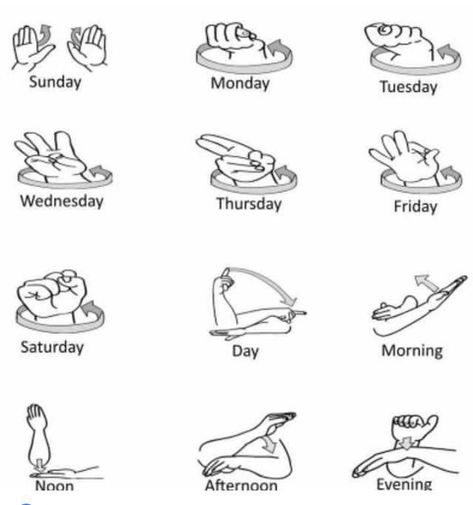 One Hand Sign Language, Asl Club Ideas, Basic Asl Signs, Sign Language Curse Words, Asl Sign Language Phrases, Asl Cuss Words, Basic Sign Language For Beginners, English Sign Language, Asl Words