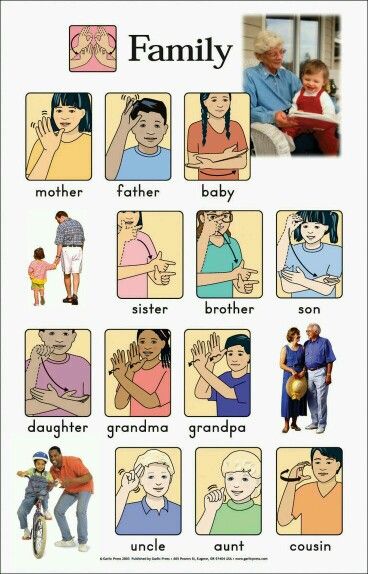 Family members in sign language Flip Charts, Sign Language Chart, Sign Language Lessons, Sign Language Phrases, Sign Language Words, Asl Learning, Asl Sign Language, Sign Language Alphabet, Asl Signs