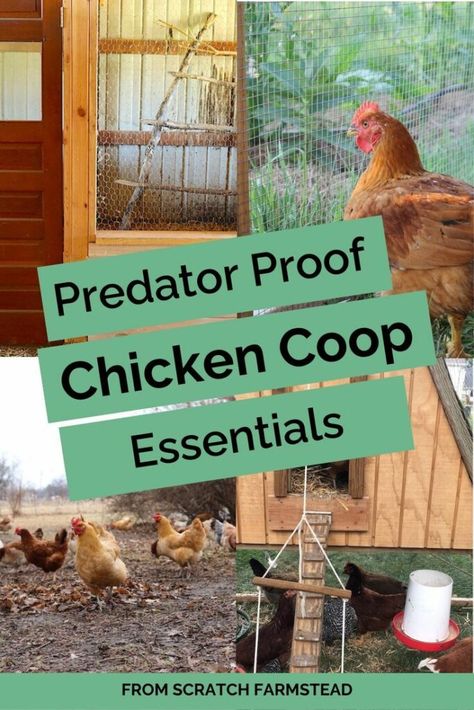 Predator Proof Chicken Coop Essentials You Need To Know Predator Proof Chicken Coop, Chicken Tractors, Chicken Keeping, Diy Chicken Coop Plans, Chicken Tractor, Raising Backyard Chickens, Chicken Coop Plans, Diy Chicken Coop, Swing Set