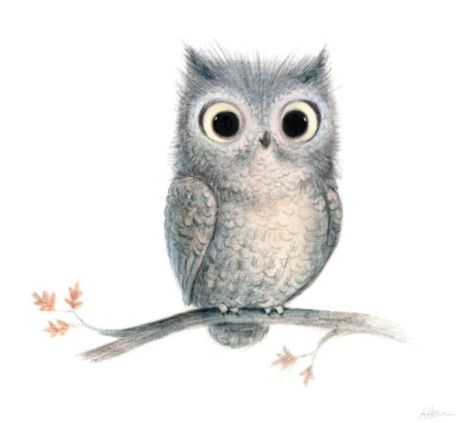 Creepy Animals, Owl Illustration, Owls Drawing, 카드 디자인, Owl Painting, Owl Art, Arte Animal, Cute Owl, Cute Animal Drawings