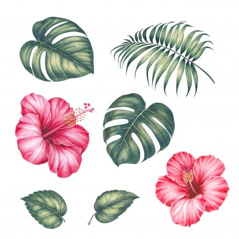 Hibiscus Painting, Tropical Flower Tattoos, Hibiscus Flower Drawing, Floral Tree, Deco Jungle, Herz Tattoo, Frida Art, Palm Tree Leaves, Cat Air