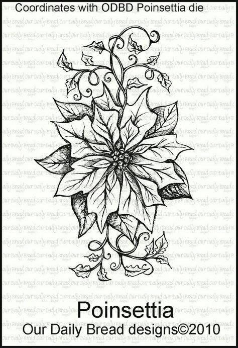 Poinsetta Tattoo Design, Poinsettia Flower Drawing, Poinsettia Tattoo, Flower Shoulder Tattoo, Tattoo Black And White, Bread Designs, Mom Tattoo Designs, Daisy Tattoo, Birth Flower Tattoos