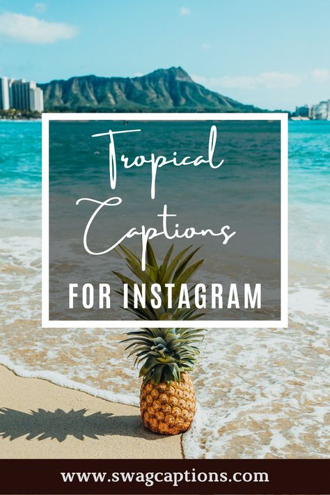 Looking for the perfect tropical captions and quotes to post on your Instagram? Look no further! We've got you covered with a list of some of our favorite tropical-themed quotes that will help you capture the essence of summer. So, grab your sunnies and get ready to snap some pics! #tropicalcaptions #tropicalquotes #tropical #nature #beach #travel #summer #paradise #tropicalvibes #love #photography #ocean #island #vacation #instagood #beautiful #islandlife #art #photooftheday #plants #flowers Tropical Sayings Quotes, Instagram Captions Tropical, Island Quotes Life, Quotes About Paradise, Island Life Captions Instagram, Caribbean Instagram Captions, Tropical Vacation Instagram Captions, Island Vibes Quotes, Island Quotes Travel