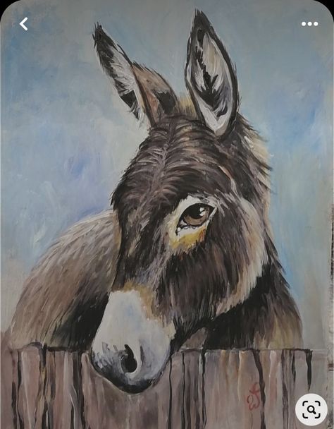 Paintings Of Farm Animals, Paintings Of Donkeys, Donkey Painted Rocks, Donkey Painting Easy, Donkey Paintings On Canvas, Mule Painting, Cute Donkey Drawing Art, Painted Donkey, Donkey Painting