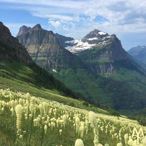 Theme Nature, Howls Moving Castle, Glacier National Park, Nature Aesthetic, Green Grass, Pretty Places, Green Aesthetic, Mother Earth, Pretty Pictures