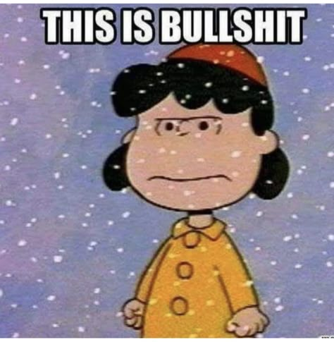 Funny Winter Quotes, Winter Jokes, Winter Humor, Calendar Quotes, Charlie Brown Quotes, Hate Winter, Cute Snoopy, Lucy Van Pelt, Brown Quotes