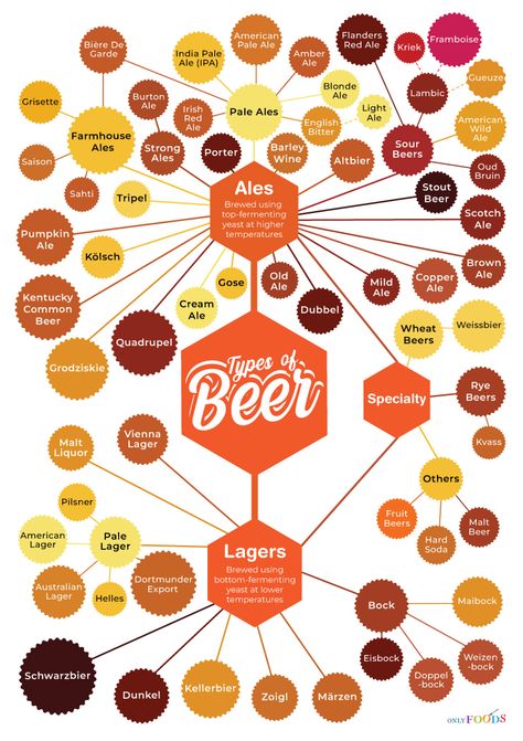 Different Types of Beers: Ales, Lagers, & More (With Pictures) Bitter Ale, Type Chart, Hops Plant, Beer Types, Pale Lager, Specialty Beer, Types Of Beer, Pumpkin Ale, Blonde Ale