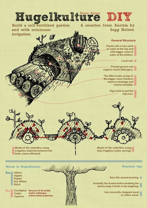 Plan Potager Permaculture, Compost Worms, Mandala Garden, Permaculture Gardening, Permaculture Design, Food Forest, Forest Garden, Earthship, Community Gardening