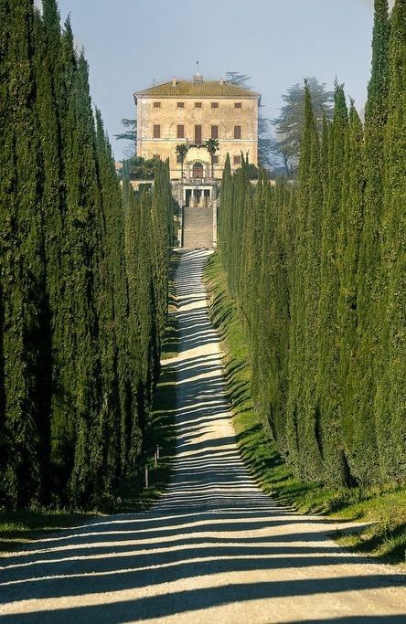 Toscana Aesthetic, Toscana Villa, Villa Toscana, Tuscany Landscape, Italy Villa, Tuscany Villa, نباتات منزلية, Toscana Italy, Toscana Italia