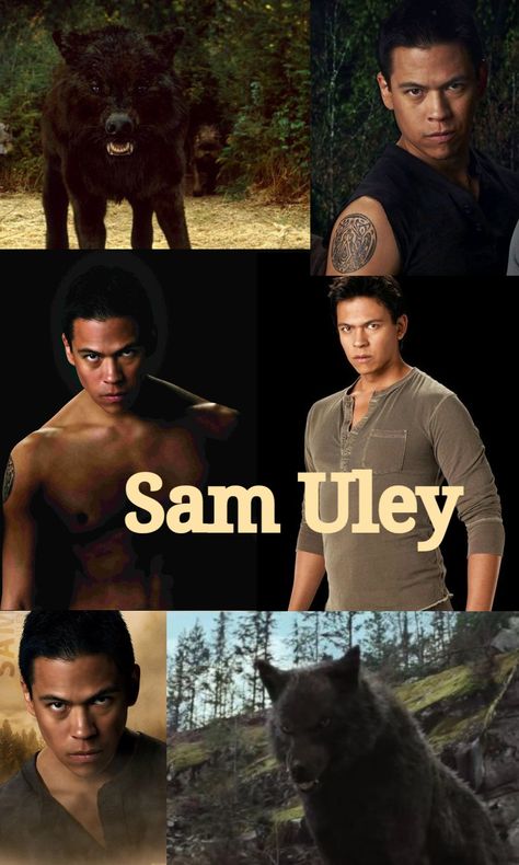 Gigi Core, Sam Uley, Twilight Wolf Pack, Twilight Jacob, Wolf Movie, Twilight Wolf, Twilight Moon, Beverly Hills Chihuahua, Twilight Saga Series