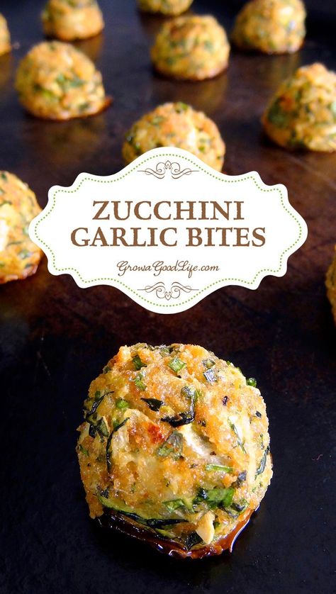 Zucchini Garlic Bites, Garlic Bites, Courgette Recipes, Tomato Dipping Sauce, Veg Appetizers, Garlic Zucchini, Zucchini Appetizer, Zucchini Bites, Grated Zucchini