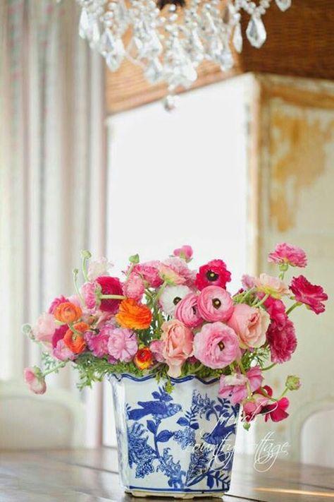 gorgeous, colorful ranunculus in a blue and white Chinese planter Bouquet Champetre, Blue White Decor, White Pot, Blue And White Vase, White Plants, Shabby Chic Interiors, White Vase, Blue And White China, French Country Cottage