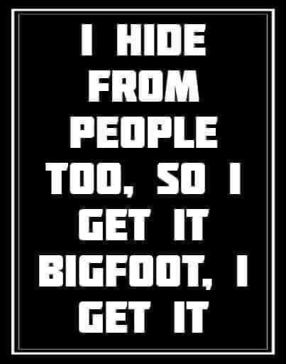 Bigfoot Quotes, Bigfoot Pictures, Bigfoot Gifts, Finding Bigfoot, Bigfoot Humor, Bigfoot Sasquatch, Yoga Shop, Sarcastic Quotes, Funny Signs