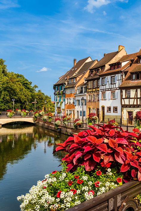 Uncover the medieval Village of Colmar, France, on a Rhine Getaway with #VikingCruises #travel #french #rivercruises #europe #international #beautifulplaces #rhine #traveldestinations #wanderlust #bucketlist Europe Village Aesthetic, Germany Places, France Landscape, Europe Street, Colmar France, European Village, Viking Cruises, Cruise Europe, Tours France