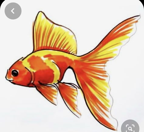 Fish Drawing For Kids, Goldfish Drawing, Drawing Art Ideas, Gold Fish Painting, Fish Sketch, Sea Drawing, Drawn Fish, Ikan Koi, Drawing Course