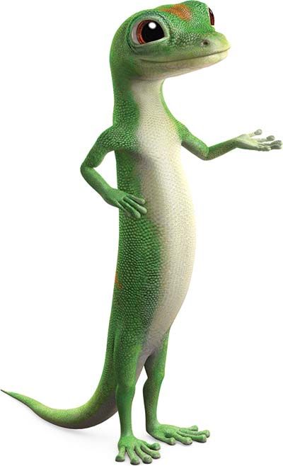 Geico Lizard, Geico Car Insurance, Is It Worth It, Renters Insurance, Auto Insurance Quotes, Pet Insurance, Insurance Agent, Medical Insurance, Insurance Policy