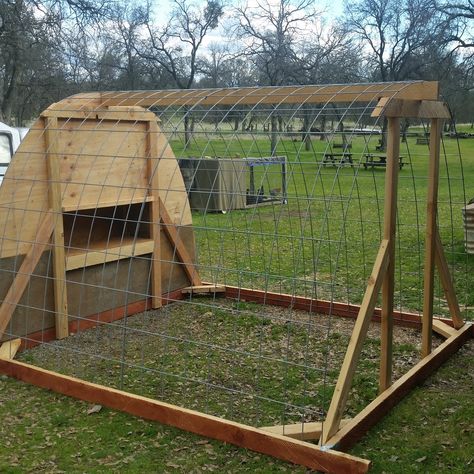 Ms Biddy's Cattle Panel Hoop Coop | BackYard Chickens - Learn How to Raise Chickens Cattle Panel Chicken Coop, Hoop Coop, Cattle Panels, Clean Chicken, How To Raise Chickens, Chicken Tractors, Backyard Chicken Coop Plans, Diy Chicken Coop Plans, Chicken Tractor