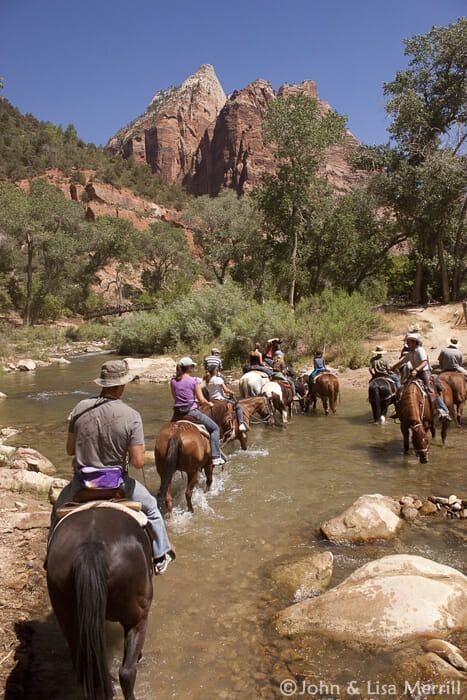 Grand Canyon Donkey Rides | Bryce Canyon Trail Rides Canyon Trail Rides #familyvacationgrandcanyon Trail Riding Horses, Horseback Riding Trails, Horse Adventure, Trip To Grand Canyon, Arizona Adventure, Zion Canyon, Grand Canyon Arizona, Utah Road Trip, Horse Trail