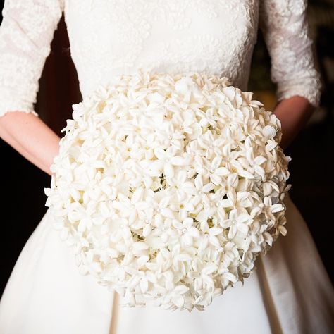 Simple and Delicate Bridal Bouquet // photo by: Callaway Gable // Bridal Bouquet: Castille Creations // http://www.theknot.com/weddings/album/a-traditional-jewish-wedding-in-brooklyn-ny-138482 Stephanotis Bouquet, Beautiful Wedding Flowers, White Bridal Bouquet, White Wedding Bouquets, Bouquet Arrangements, Modest Wedding, Bridal Show, Jewish Wedding, Bride Bouquets