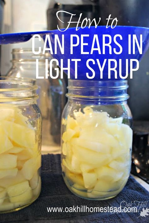 Adding pears to canning jars, using a blue funnel Preserve Pears, How To Can Pears, Can Pears, Canning Pears, Canned Pears, Canned Fruits, Water Bath Canning, Pressure Canner, Pear Recipes