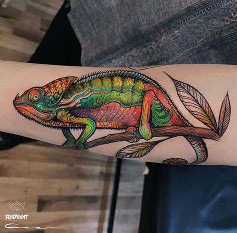 #tattoed #tattoo #tatuaje #chameleon #camaleon #animaltattoo #colortattoo #colors #radiantink #radiantcolorscrew #soulflowertattoosupply… Camilion Tattoos, Chameleon Tattoos, Reptile Tattoo, Iguana Tattoo, Chameleon Tattoo, Tattoo Perna, Lizard Tattoo, Animal Sleeve Tattoo, Chameleon Art