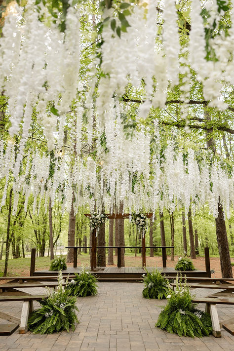 Whimsical Magical Wedding ceremony in the woods under gorgeous white Wisteria 

Venue: Hiwassee River Weddings & Events Wedding Woods Forest, Wedding Wisteria Decor, White Wisteria Wedding, Enchanted Forest Wedding Ceremony, Japanese Garden Wedding, River Weddings, Tree Wedding Ceremony, Forest Wedding Ceremony, Willow Tree Wedding