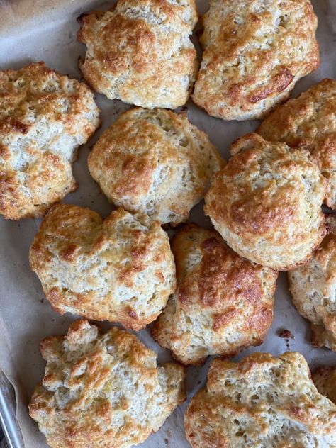 I Tried Back in the Day Bakery's Buttermilk Biscones Recipe | Kitchn Back In The Day Bakery, Sourdough Muffins, Best Time To Eat, Best Cinnamon Rolls, Artisan Bread Recipes, British Food, Best Of Both Worlds, Bread Basket, Cooking Show